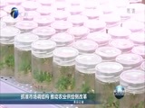 天津新闻 《天津新闻》 20170205