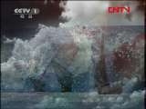 人与自然 《人与自然》 20111023 自然启示——森林中的猎手（下）