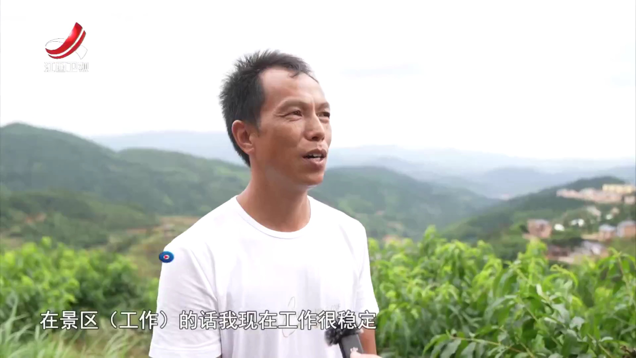 社会传真 一线调研——桃源村的“振兴密码”
