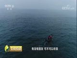 生财有道 《生财有道》 20180605 鸡鸣岛上渔家财