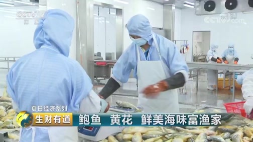 生财有道 《生财有道》 20190806 夏日经济系列 鲍鱼 黄花 鲜美海味富渔家