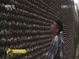 生财有道 《生财有道》 20160922 生态中国系列（沿海行）——走进珠海斗门