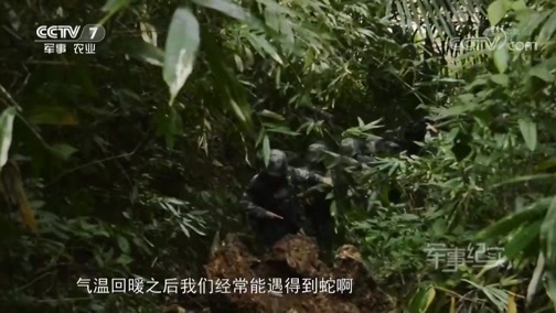 军事纪实 《军事纪实》 20190513 边防女兵巡逻记（上）