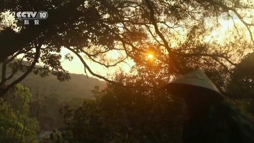 地理中国 《地理中国》 20190522 穿越北回归线 第八集 绚丽海岛