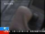 法治在线 法治在线 2010-01-31