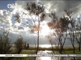 有多远走多远 《有多远走多远》 20160811 车轮上的青春 画我天地