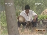 生财有道 [生财有道]与动物亲密接触——“猴王”的致富法宝 20130722