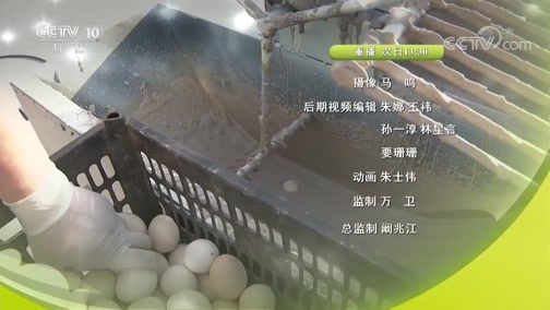 我爱发明 《我爱发明》 20190528 布袋养虾记