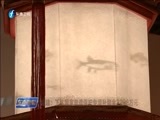 东南晚报 《东南晚报》 20170924