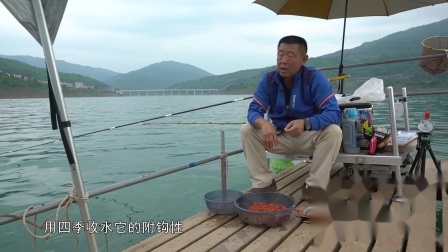 鲫鱼的饵料该怎样开呢？如何开能够更高效的诱鱼呢？
