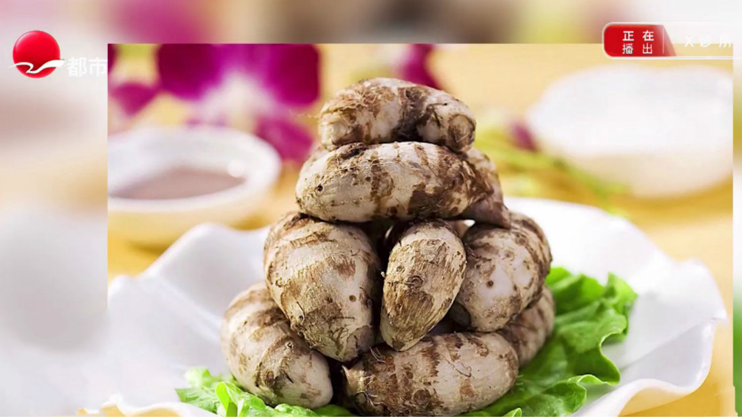 X诊所. 挖出来的“风味”