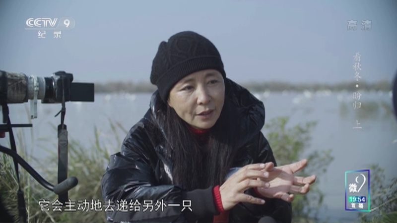 《看秋冬》 第七集 盼归（上）