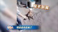 轻松时刻 第二季 有一种美德叫做“不靠谱”22