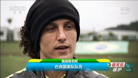 我爱世界杯 2014巴西世界杯 荷兰2:0完胜智利 小组赛表现优秀获三场全胜！