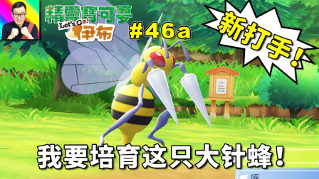 我要培育大针蜂啦！期待超进化登场！