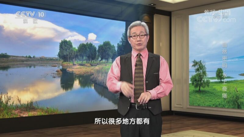 地理中国 《地理·中国》 20200905 自然密码·水上奇塔
