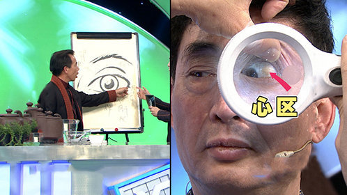 X诊所. 目诊看健康
