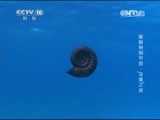地理中国 《地理中国》 20150207 寒假特别节目·“龙蛋”之谜