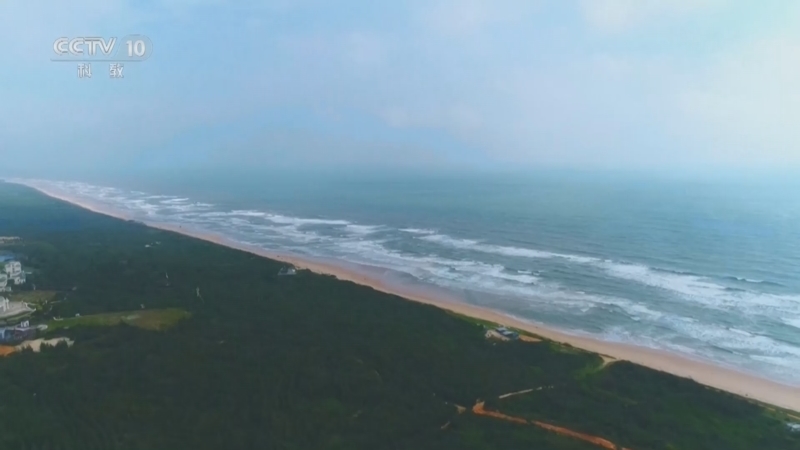 《跟着书本去旅行》 20260130 心向蔚蓝——自然馈赠