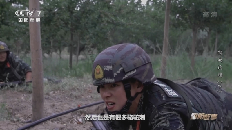 国防故事 《国防故事》 20201126 特战玫瑰（下）