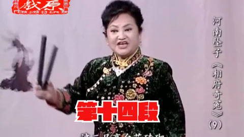 河南坠子《相府奇冤》