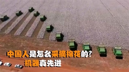 机械控 中国人是怎么采摘棉花的？全自动机械化，采摘效率很高吗