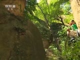 地理中国 《地理中国》 20151224 嵖岈幻境（中）