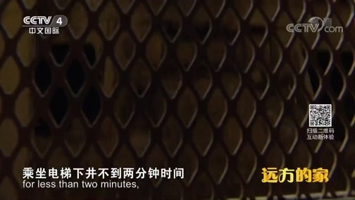 远方的家 《远方的家》 一带一路（437）南非 从“黑白分明”到“彩虹之国” 20181123