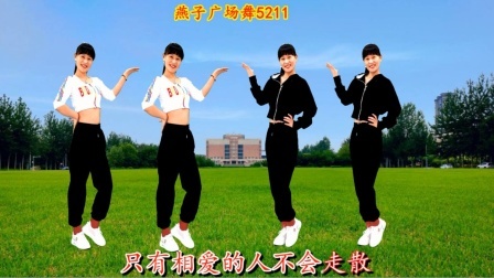 燕子广场舞《眼睛为你流着泪》心却为你打着伞