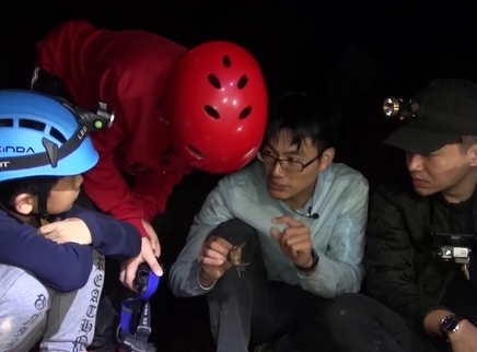 童趣大冒险 2019 寻找蝙蝠洞穴