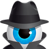 Hetman Internet Spy