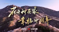 2023年春晚公益广告 海报