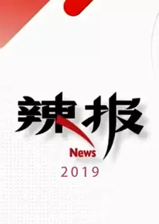 《辣报 2019》海报