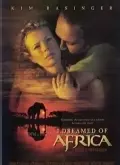 《梦游非洲》海报