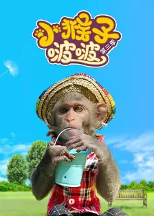 小猴子啵啵 第三季 海报