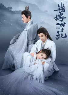 错嫁世子妃 海报