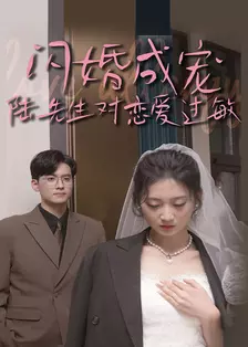 闪婚成宠，陆先生对恋爱过敏