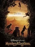 《猴子王国》海报