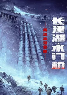 《再现血泪悲歌：长津湖之水门桥》海报