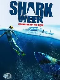 鲨鱼周2013 海报