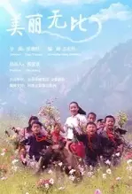 美丽无比 海报