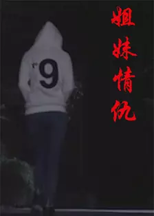 姐妹情仇 海报