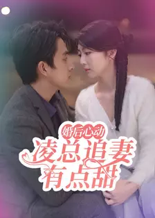 婚后心动：凌总追妻有点甜 海报