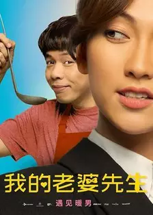 我的老婆先生 海报