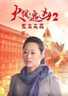 《火线追凶2：爱本无罪》剧照海报