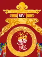 北京卫视2015春节晚会 海报