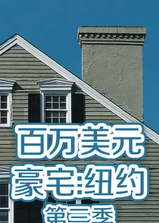 《百万美元豪宅:纽约 第三季》剧照海报