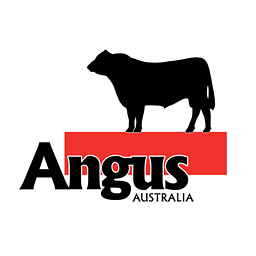 angus beef australia