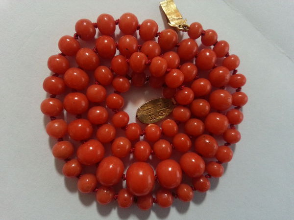 印尼红珊瑚为什么便宜