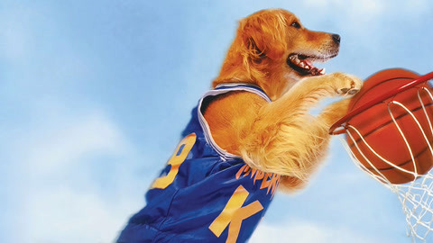 飞狗巴迪3飞狗家族国语